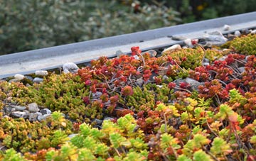 the cost of Derrygonnelly green roof installation