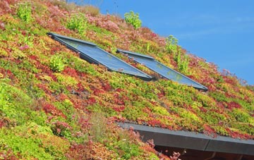 Derrygonnelly living roof systems